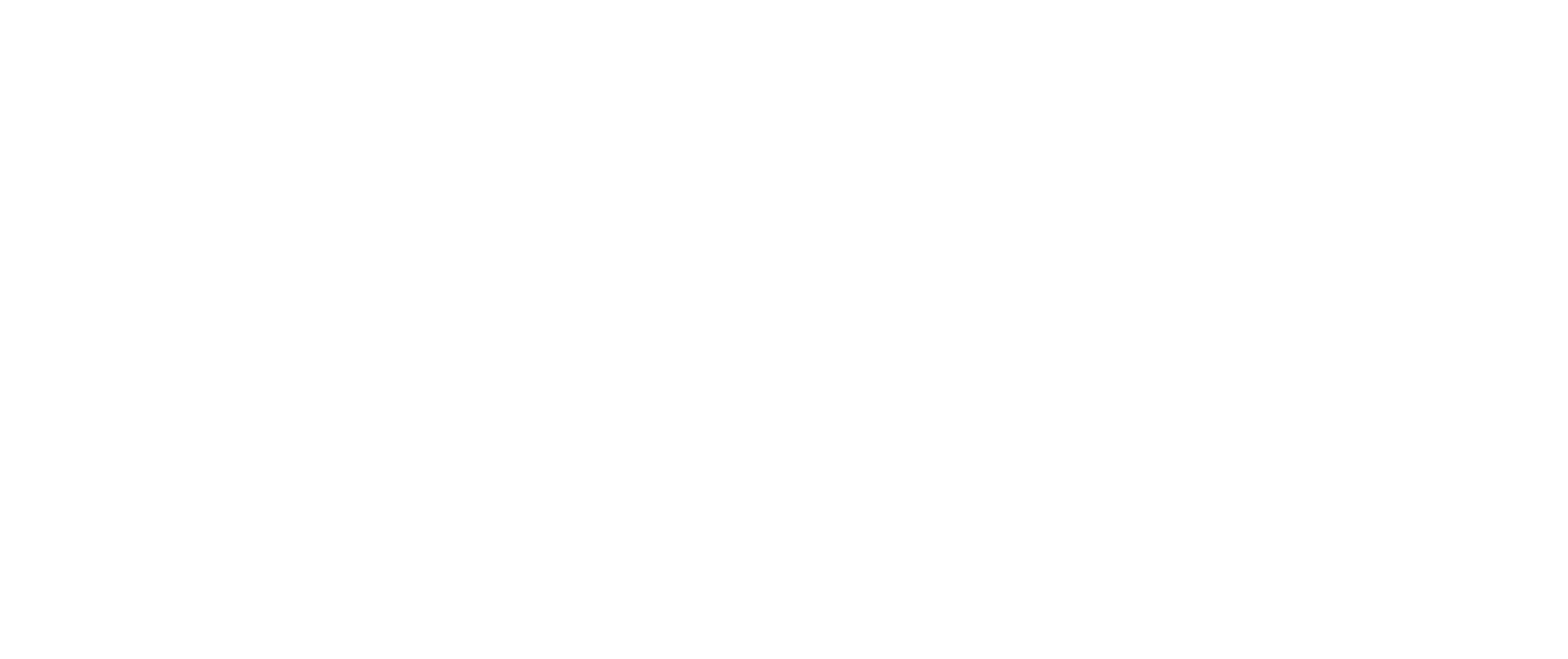 Money 2020 copy